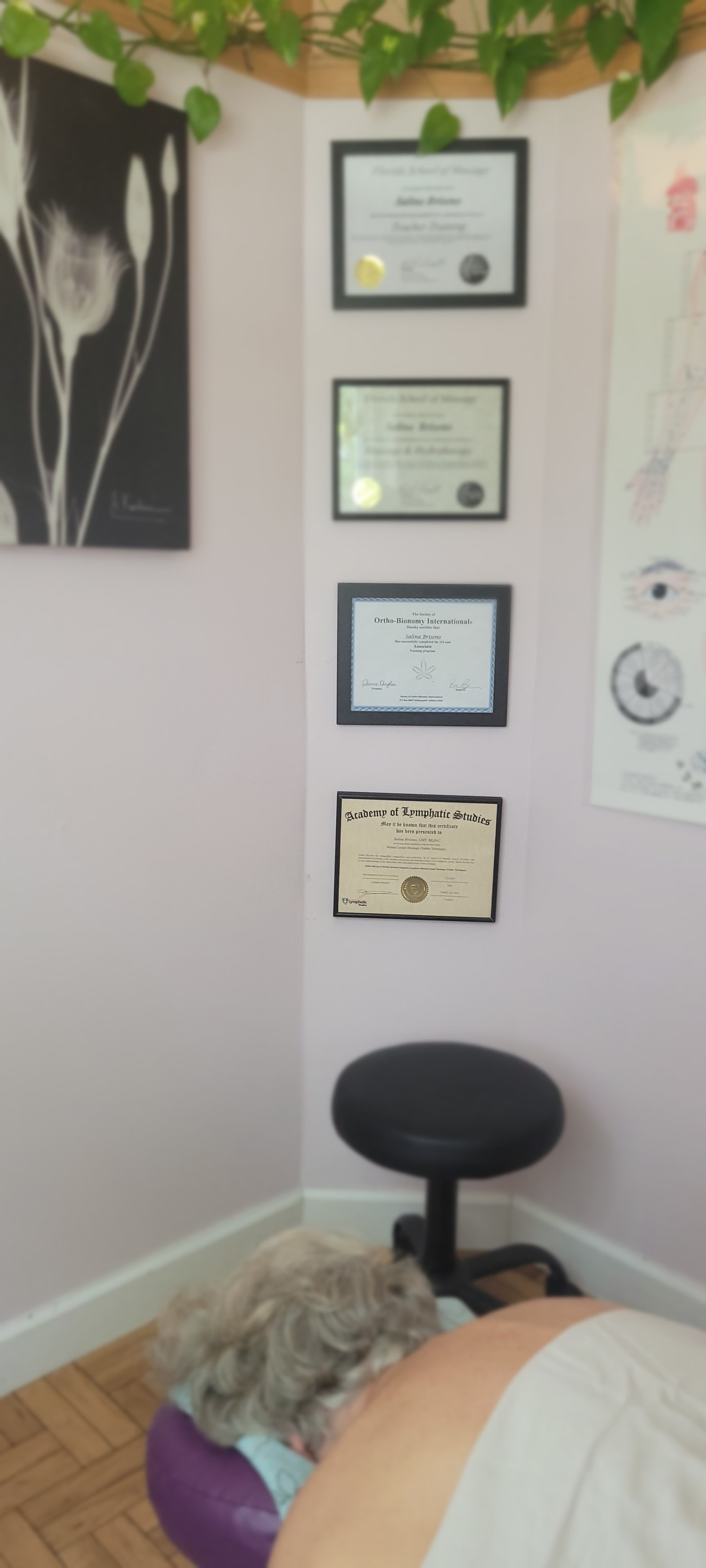 Office and wellness image 5